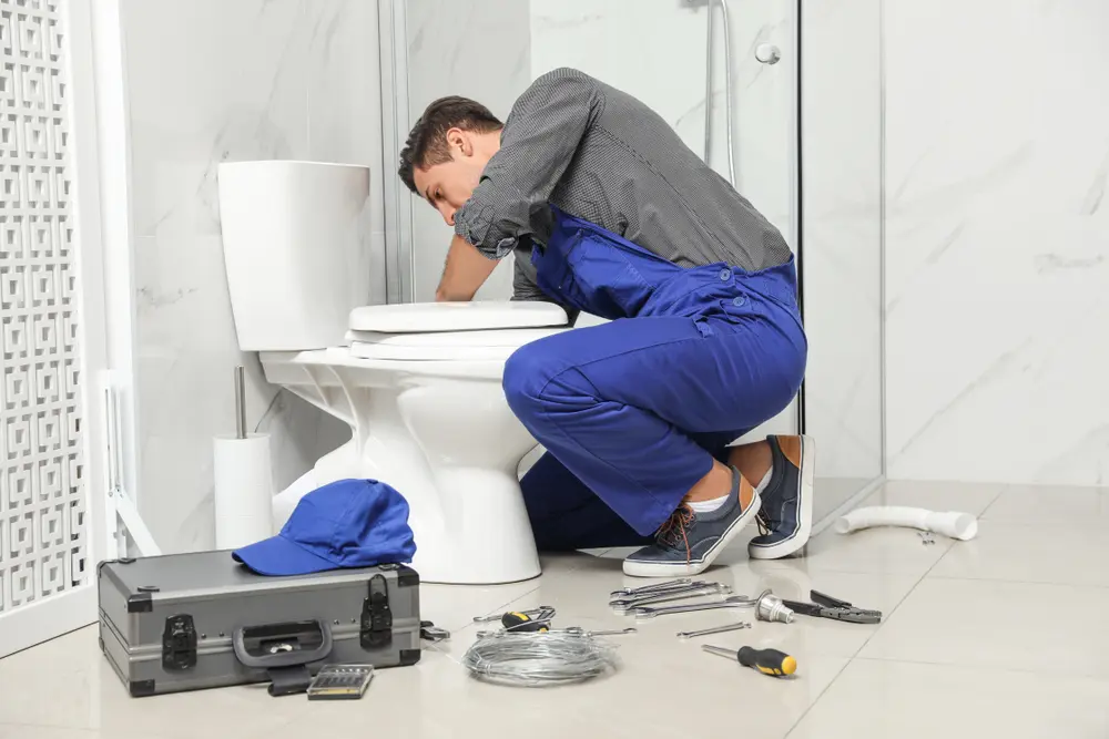 Toilet Installation in Mikes